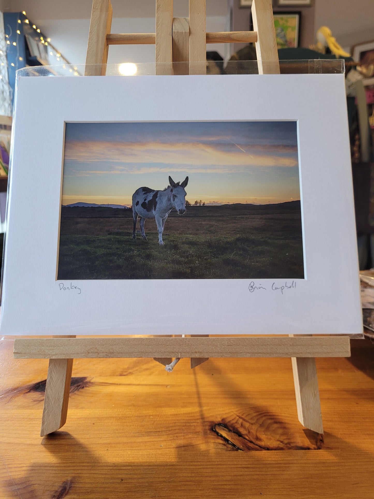 Brian Campbell Mounted Photographs Large