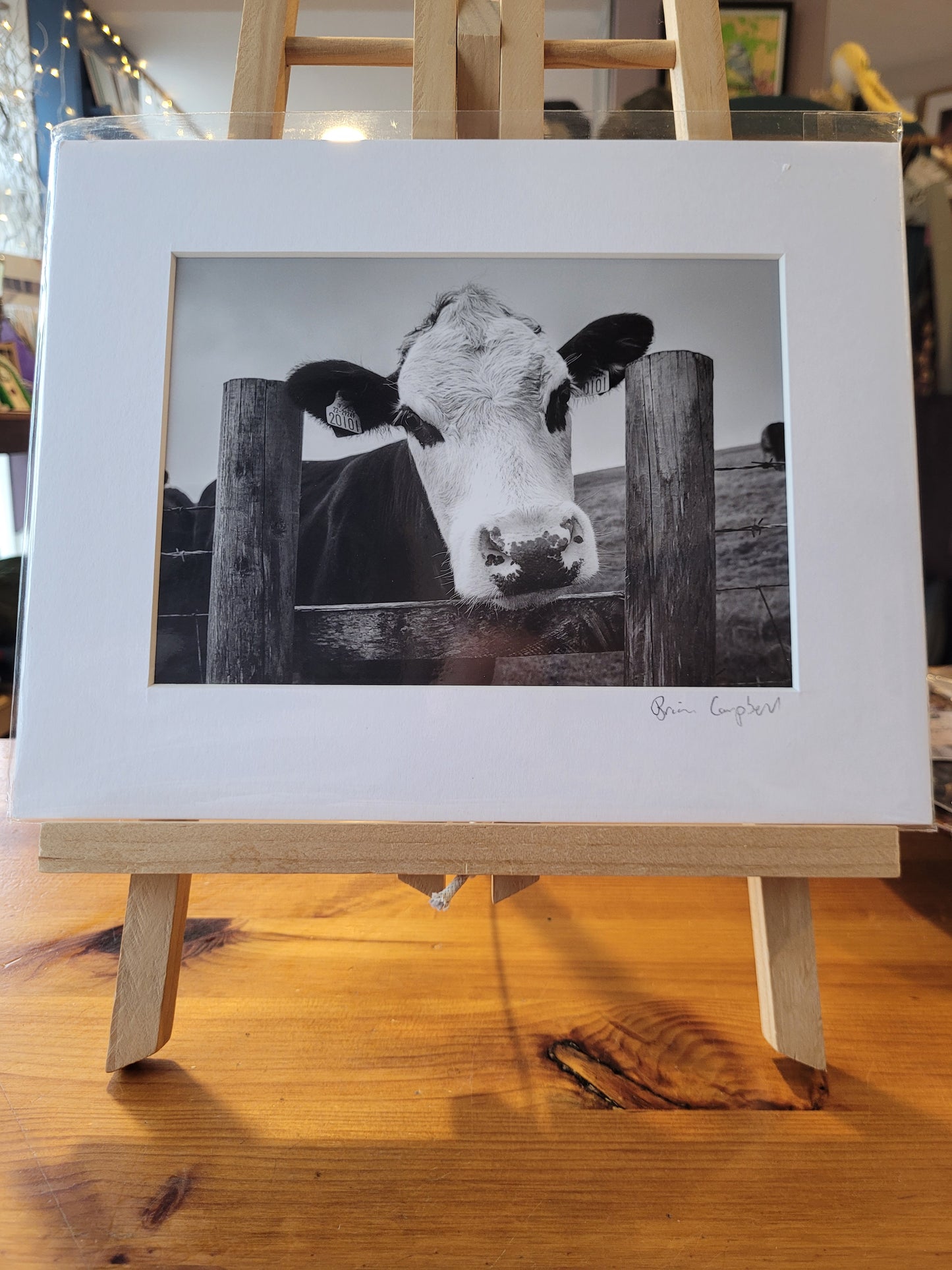 Brian Campbell Mounted Photographs Large