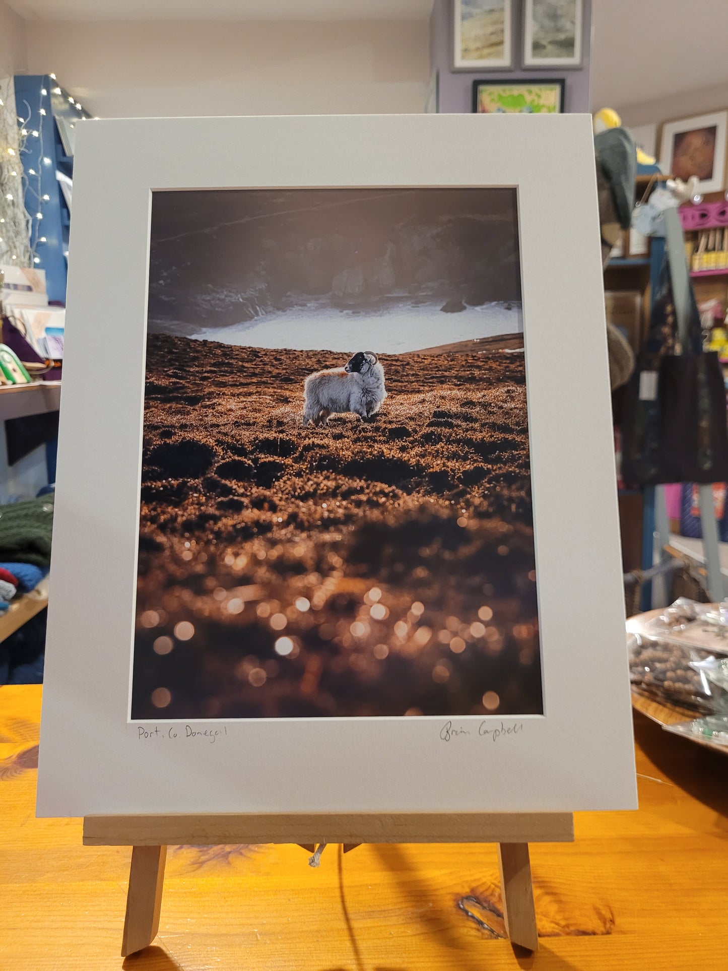 Brian Campbell Mounted Photographs Large
