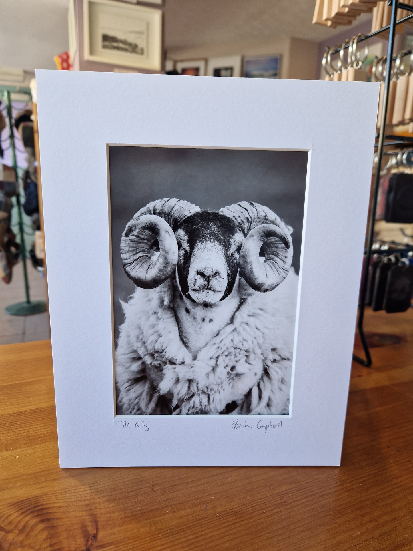 Brian Campbell Mounted Photographs Small