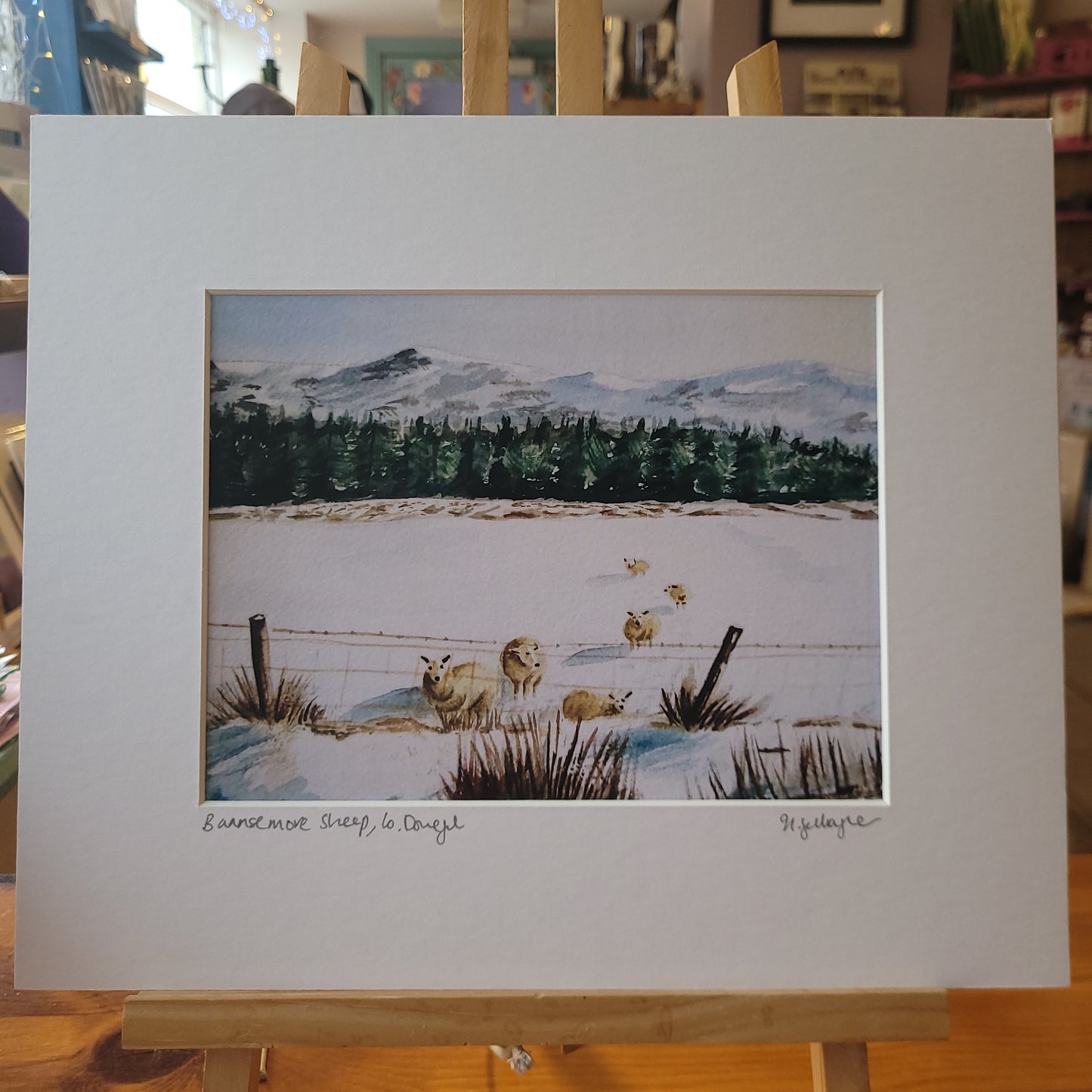 Nora Gallagher - Medium Prints