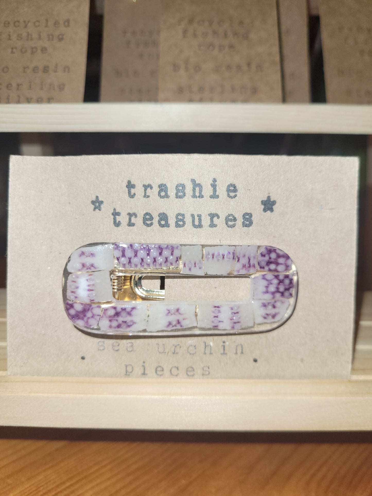 Trashie Treasures Hair Clips