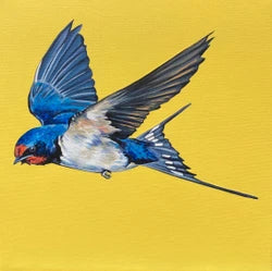 Orla Mellon - 30cm x 30cm Prints