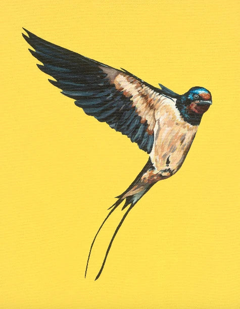 Orla Mellon - 30cm x 30cm Prints