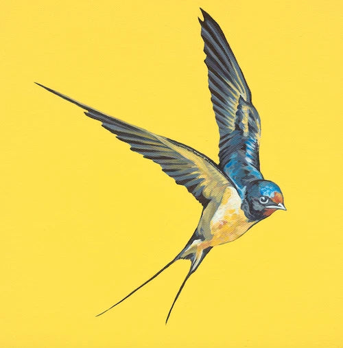 Orla Mellon - 30cm x 30cm Prints