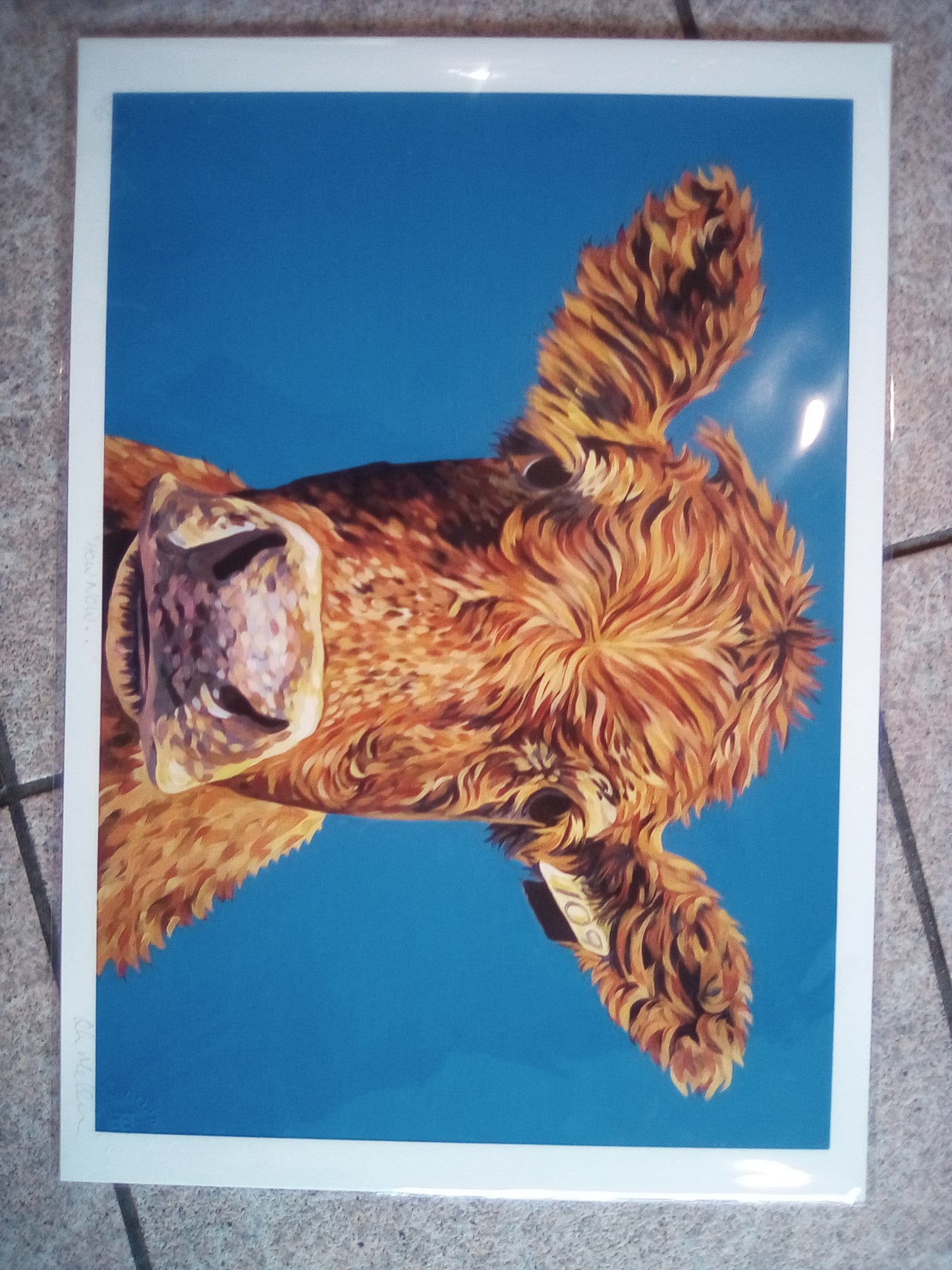 Orla Mellon - A3 Prints