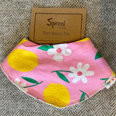 Spraoi Clothing -Baby Bibs
