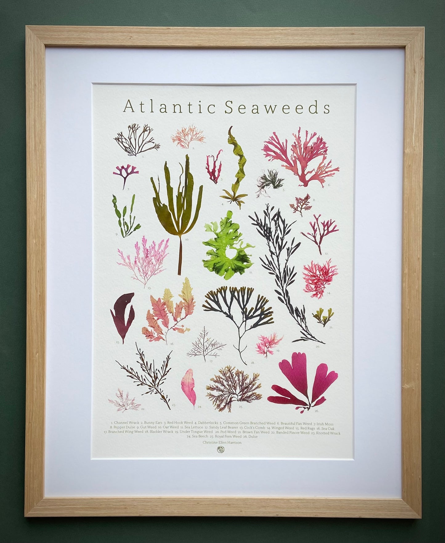 Seaweed Prints - Christine Ellen Harrison
