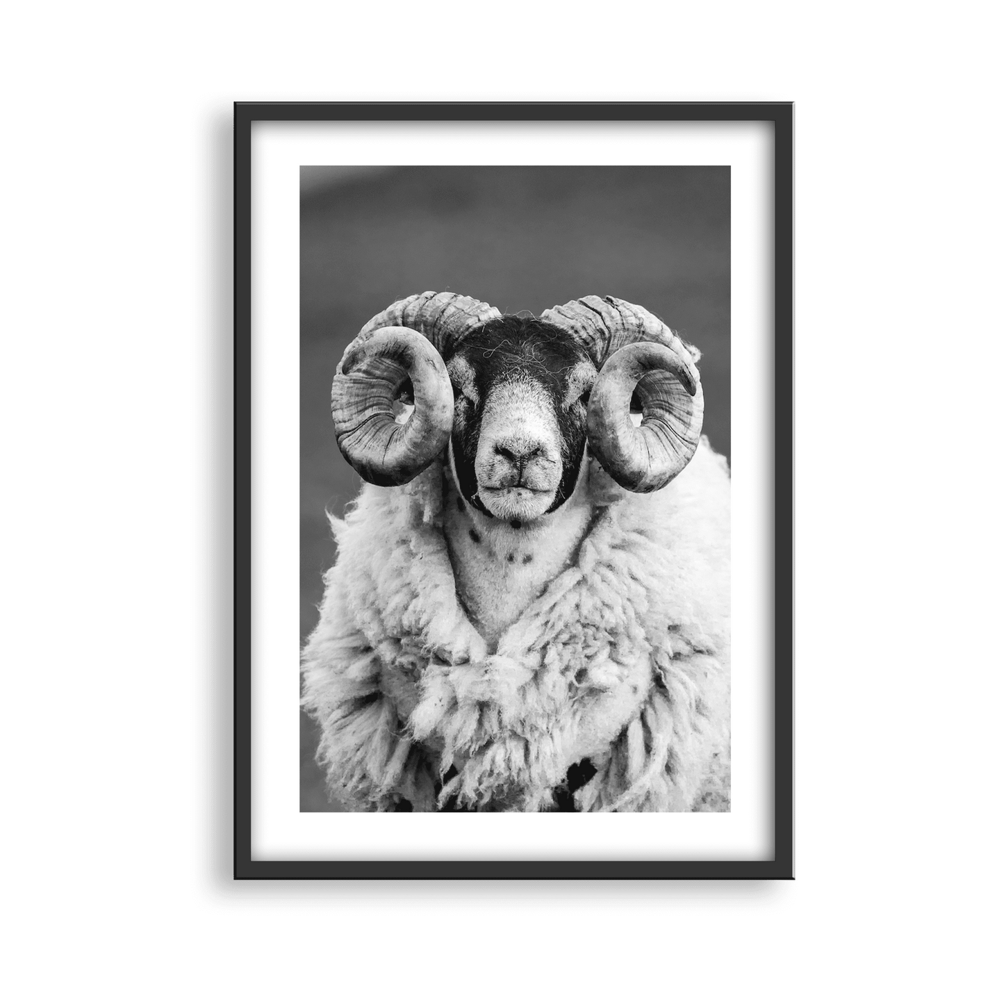Brian Campbell - Framed Photography