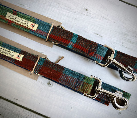 Don't forget the Dog - Tweed Dog Lead
