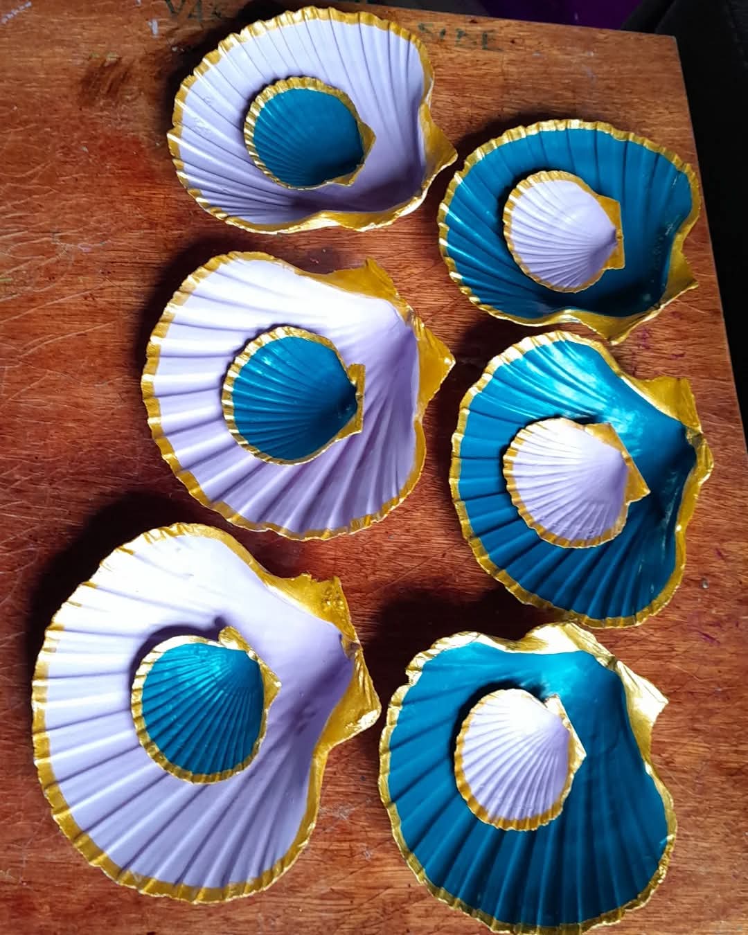Hand Painted Scallop Seashells