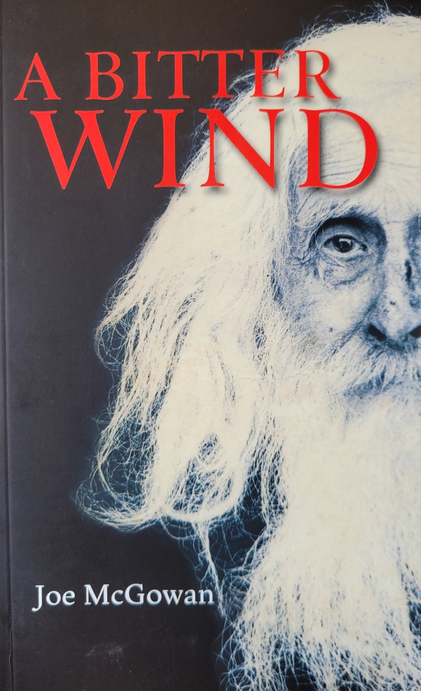 A Bitter Wind - Joe Mc Gowan