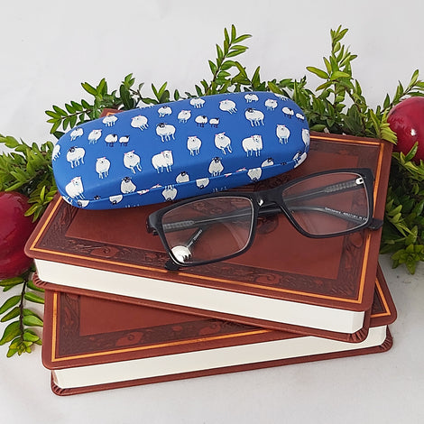 Celtic Glasses case