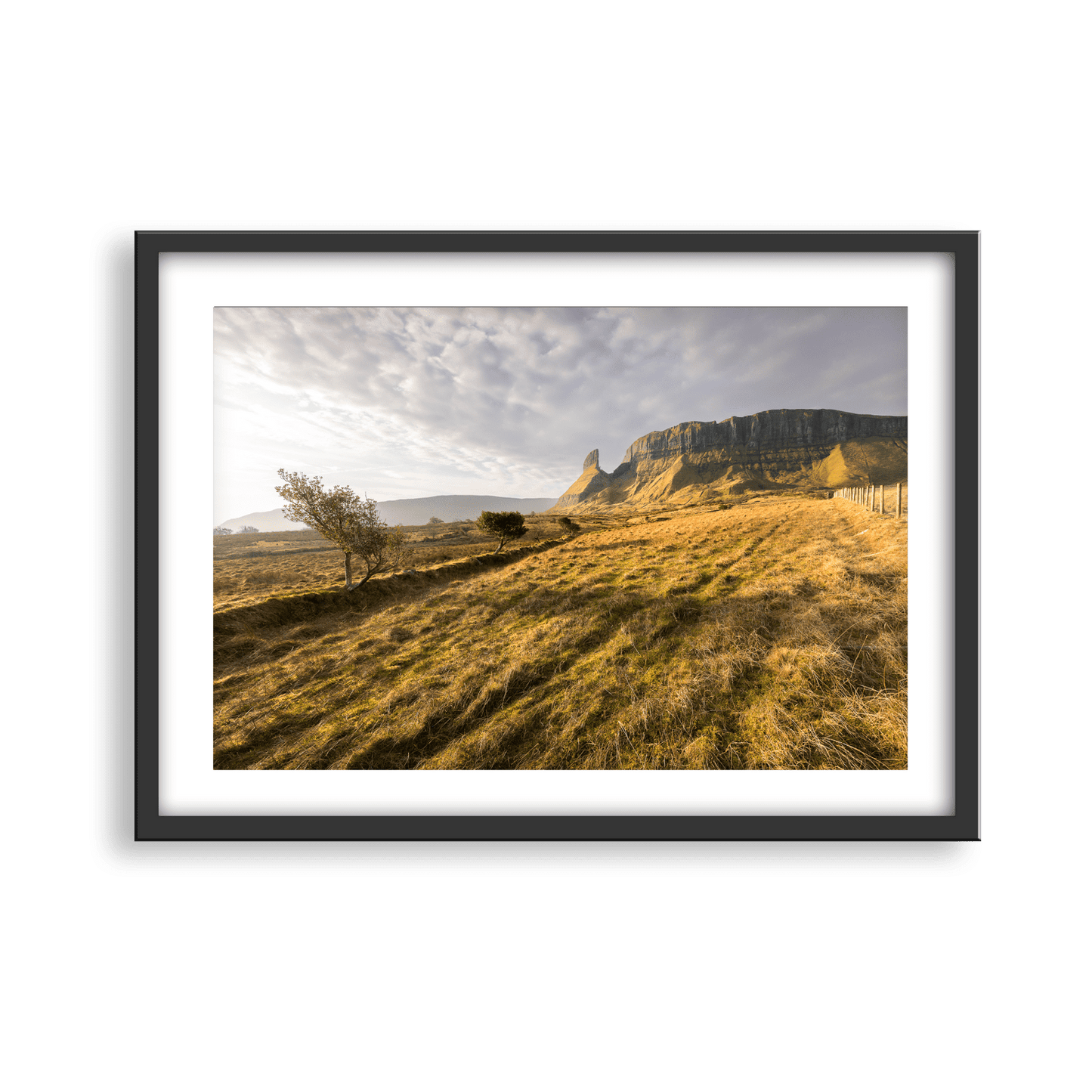 Brian Campbell Mounted Photographs Large