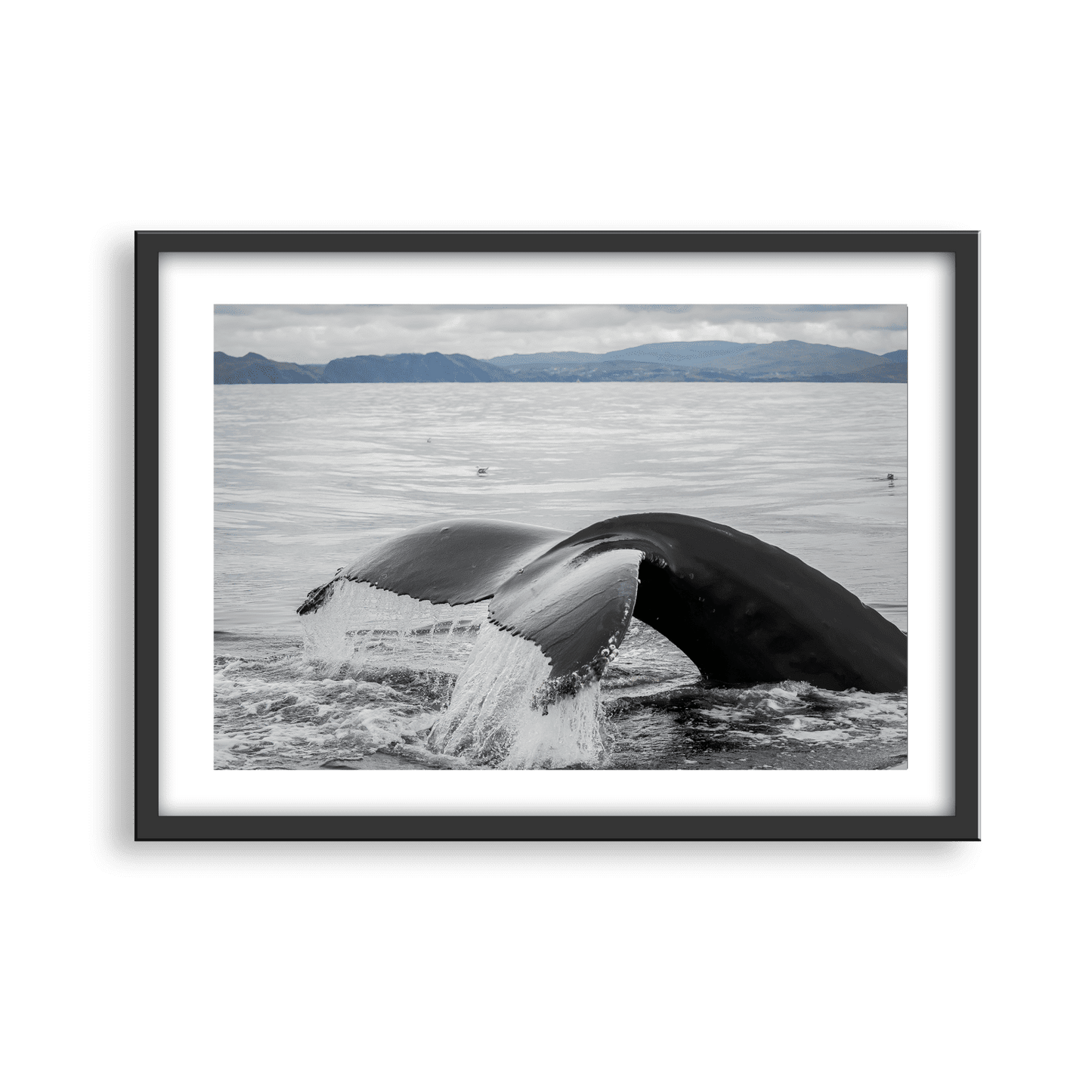 Brian Campbell Mounted Photographs Large