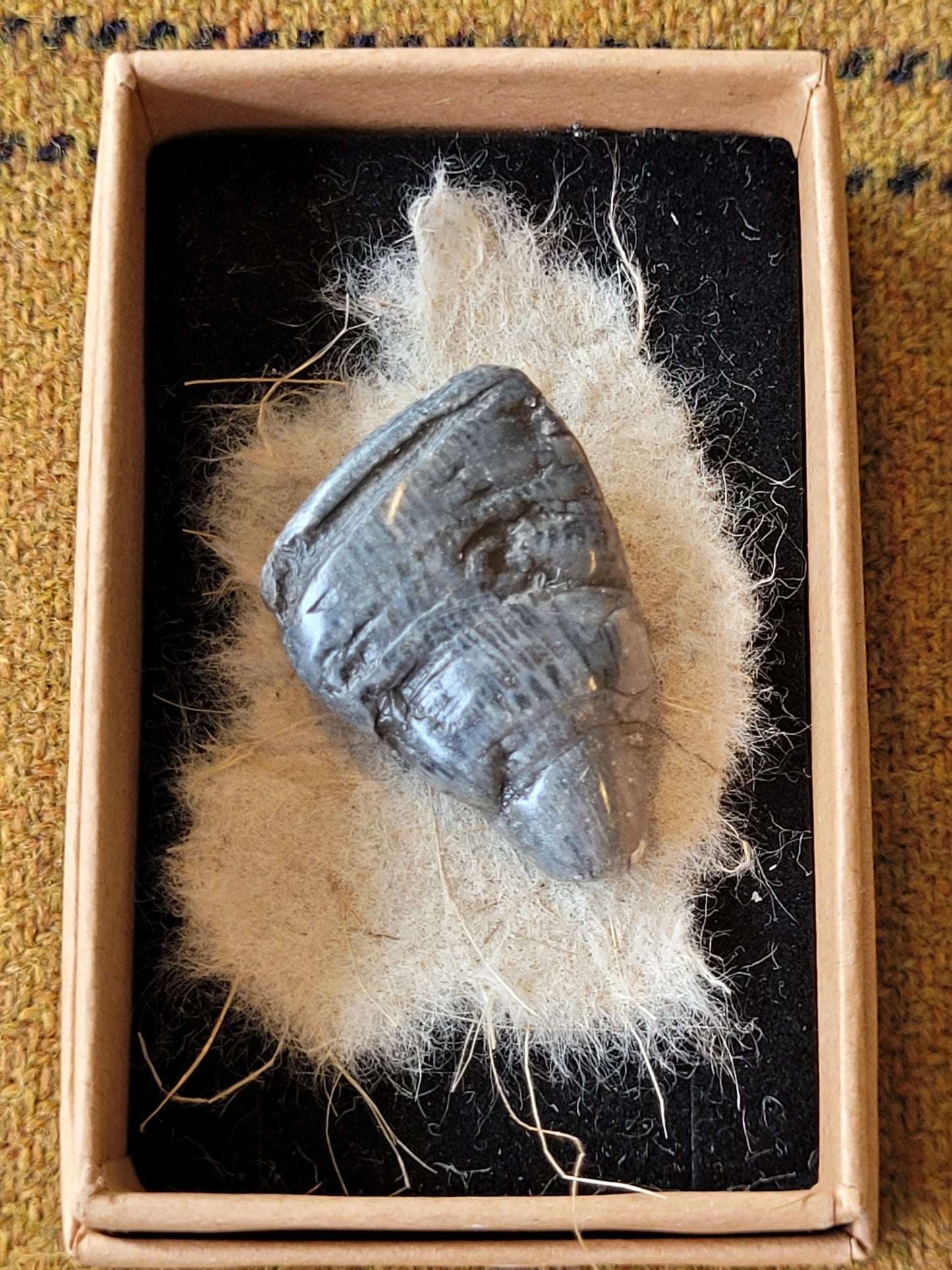 Donegal Fossil Jewellery - Rossa Byrne