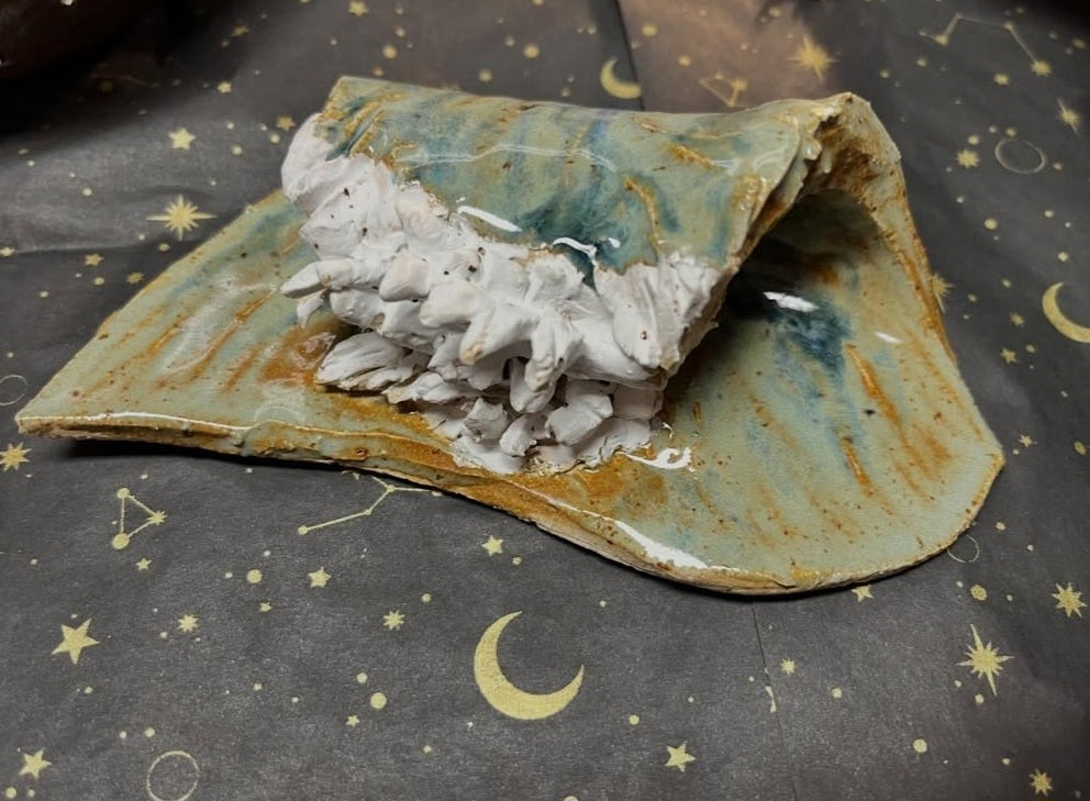 Moonlit Ceramic Collection