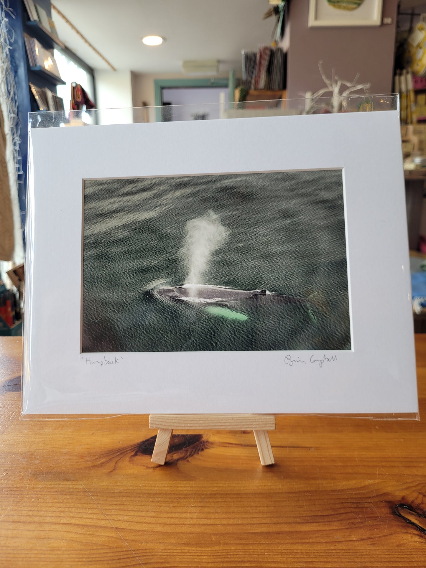 Brian Campbell Mounted Photographs Small