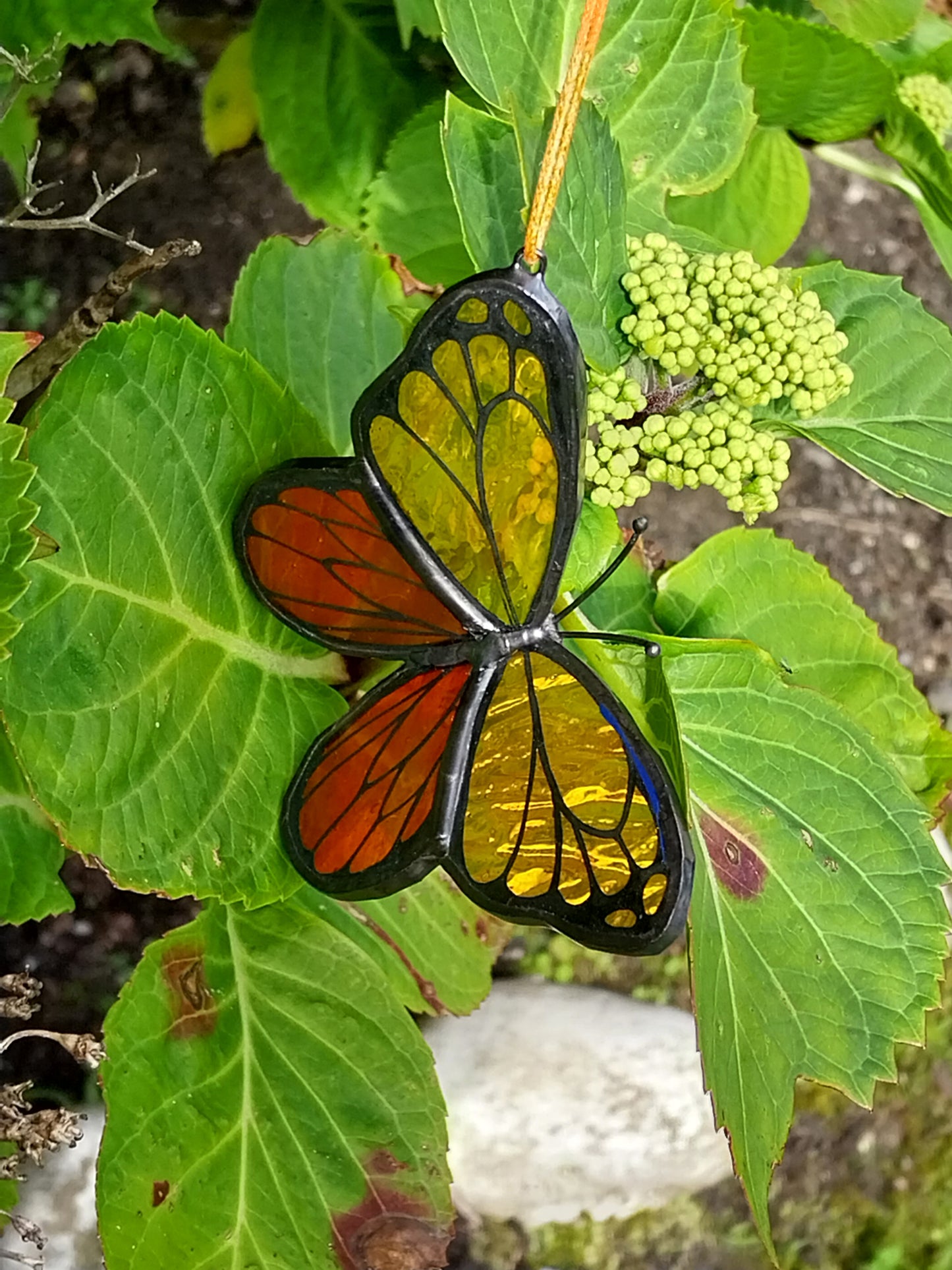 Alpha Glass Studio - Stained Glass