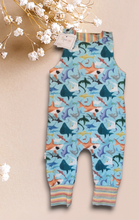 Load image into Gallery viewer, Spraoi Clothing - Baby Rompers
