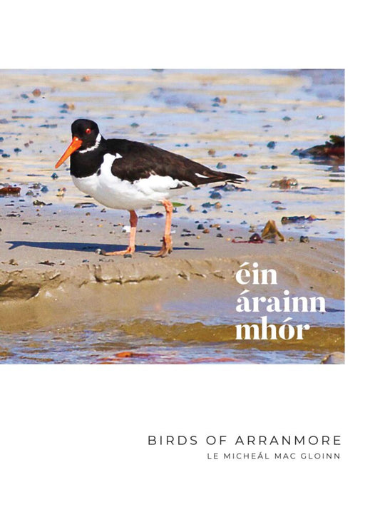 Birds Of Arranmore - Éin Árainn mhór