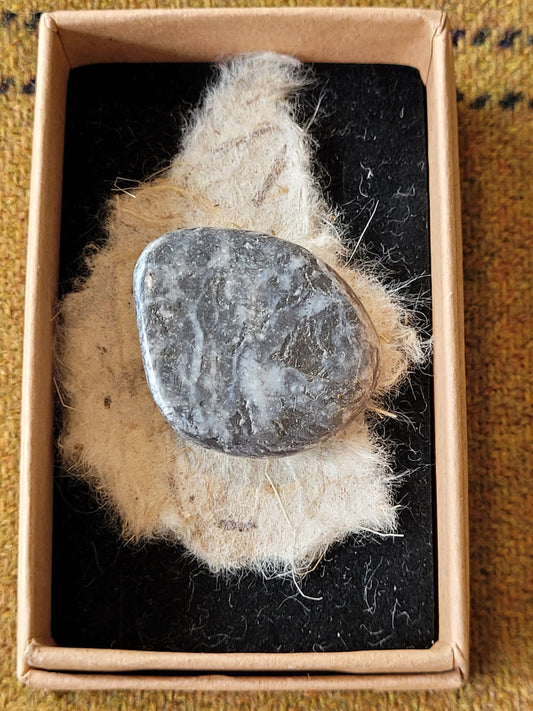 Donegal Fossil Jewellery - Rossa Byrne