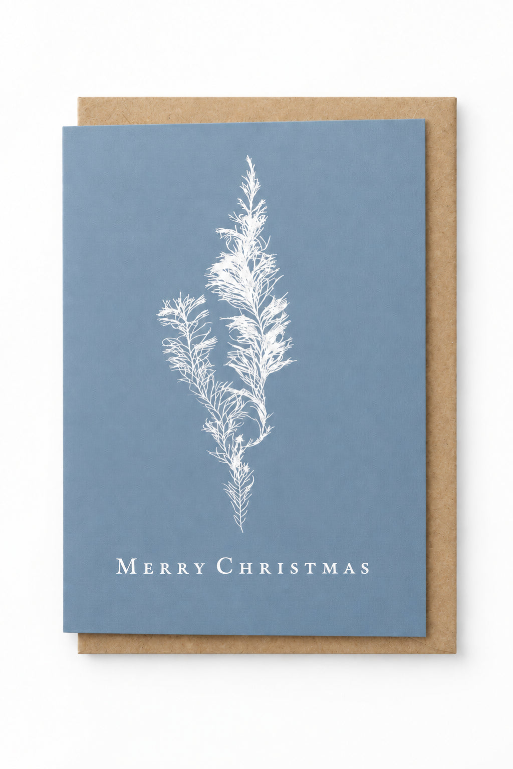 Hand Pressed Christmas Seaweed Cards - Christine Ellen Harrison