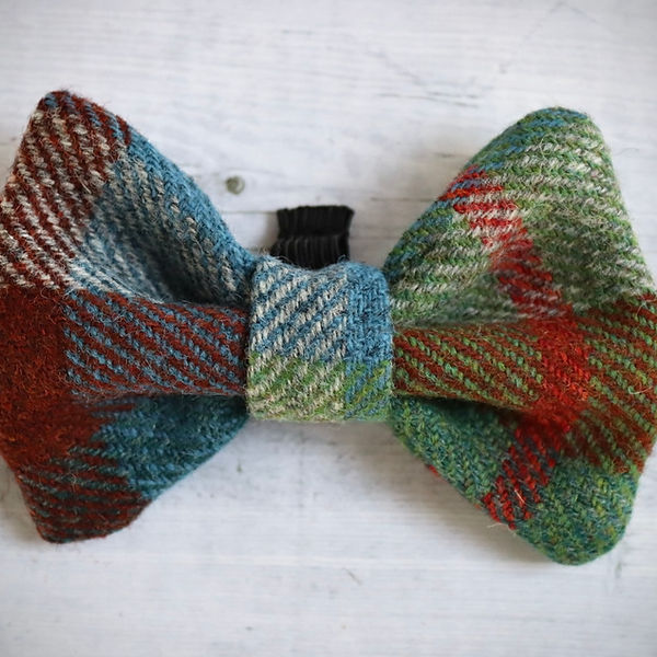 Don't forget the Dog - Tweed Dicky Bow
