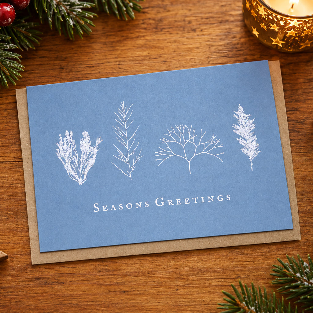 Hand Pressed Christmas Seaweed Cards - Christine Ellen Harrison