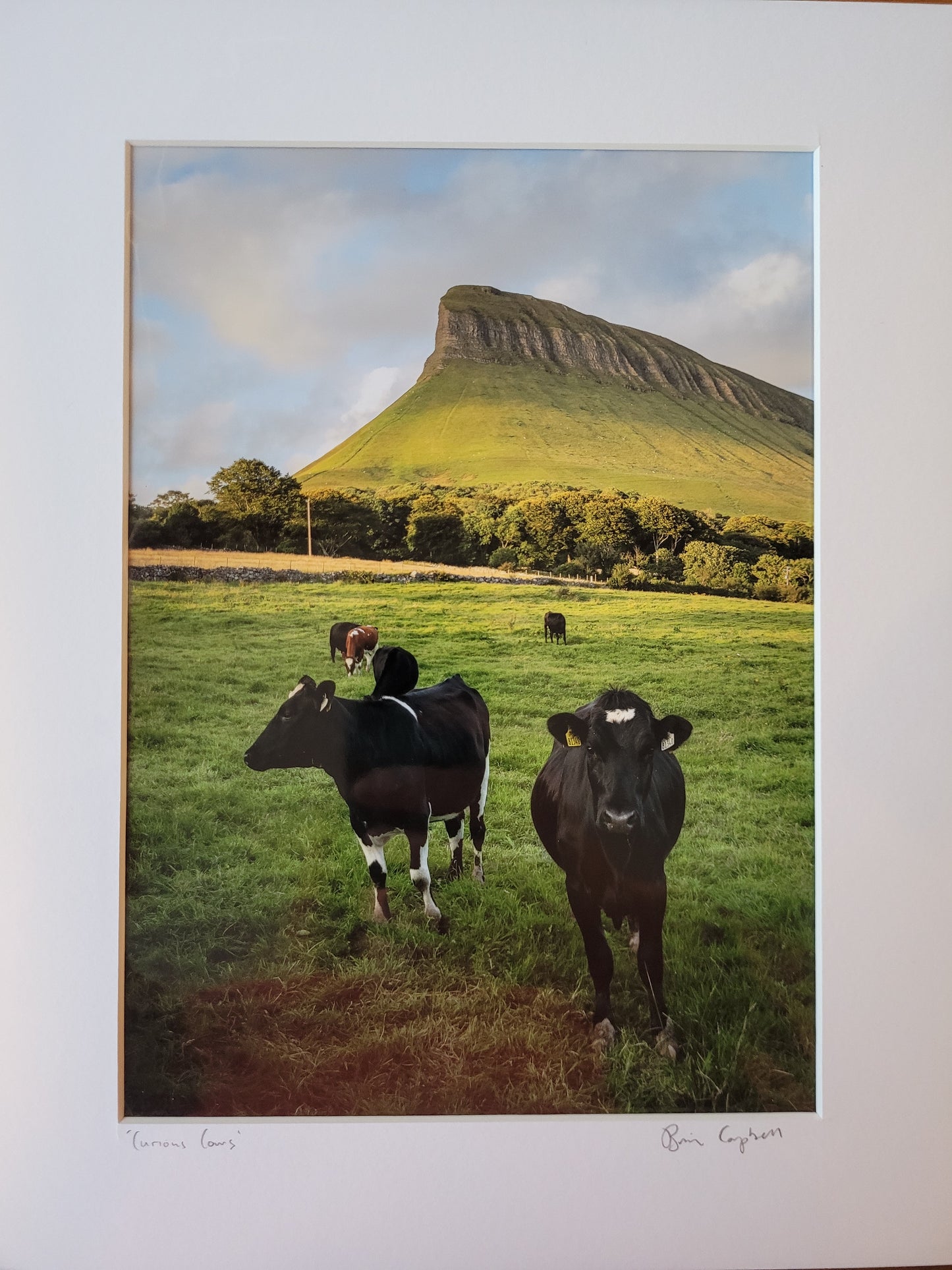 Brian Campbell Mounted Photographs Large