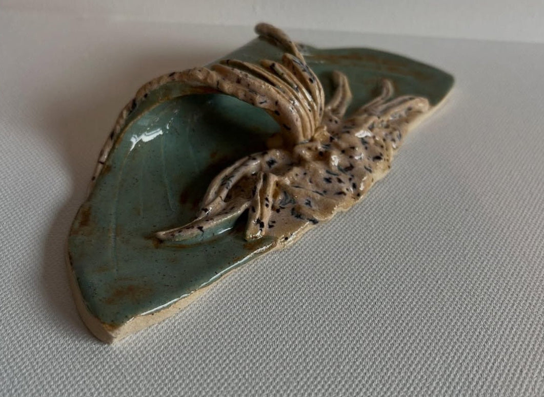 Moonlit Ceramic Collection