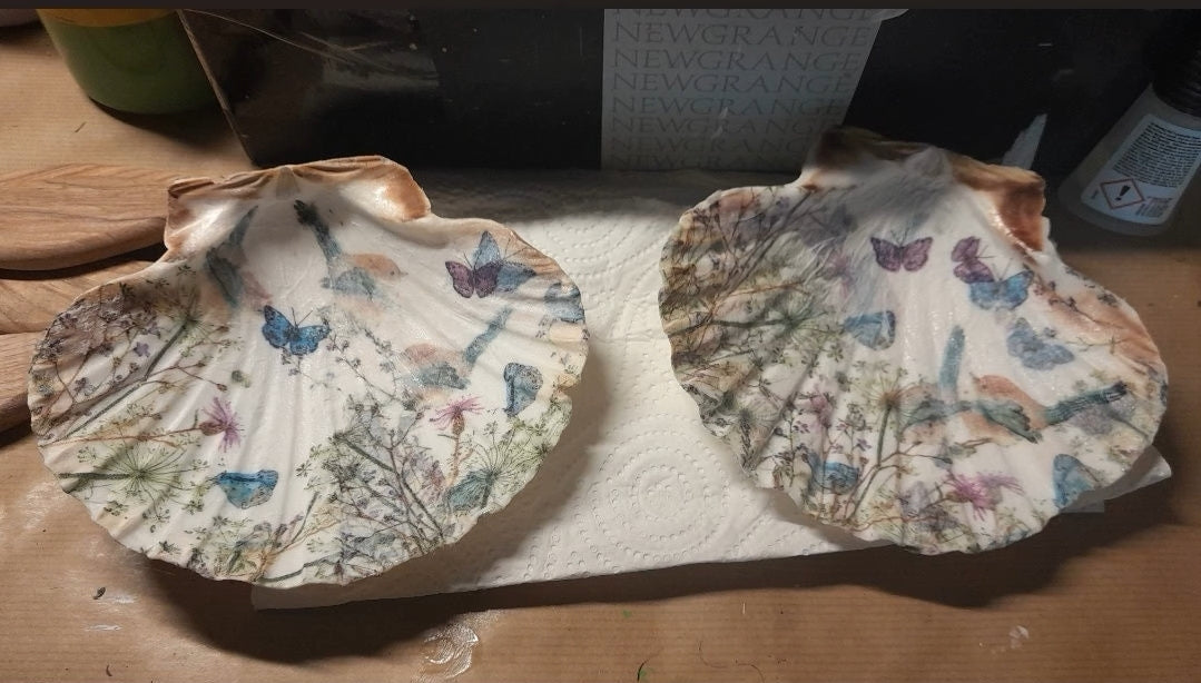 Hand Painted Scallop Seashells