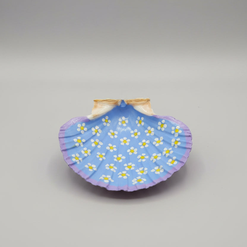 Hand Painted Scallop Seashells