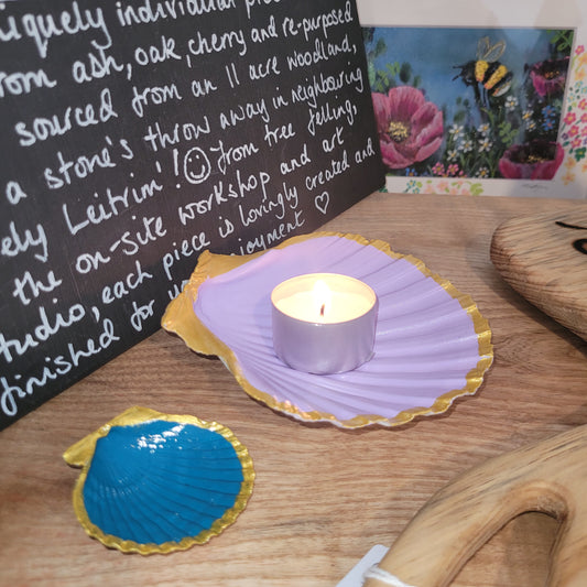 Hand Painted Scallop Seashells