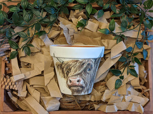 Large Flower Pots