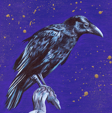 Load image into Gallery viewer, Raven/Crow
